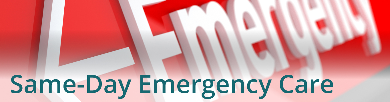 Same Day Emergency Care